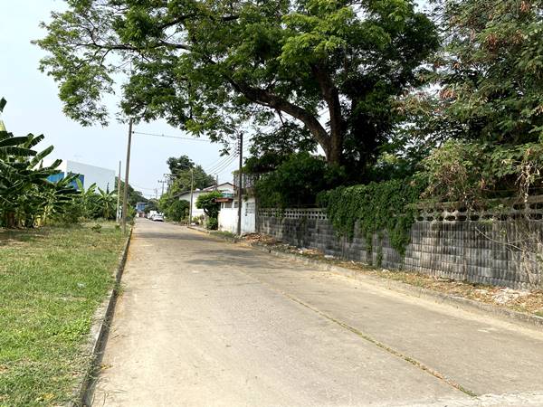 ขายที่ดินเปล่าแปลงมุม สวย หมู่บ้านเมืองทอง 2/2(ซอย13) ซอยพัฒนาการ 61 ขนาด 206 ตรว ทำเลดี เหมาะสร้างบ้าน ออฟฟิศ 